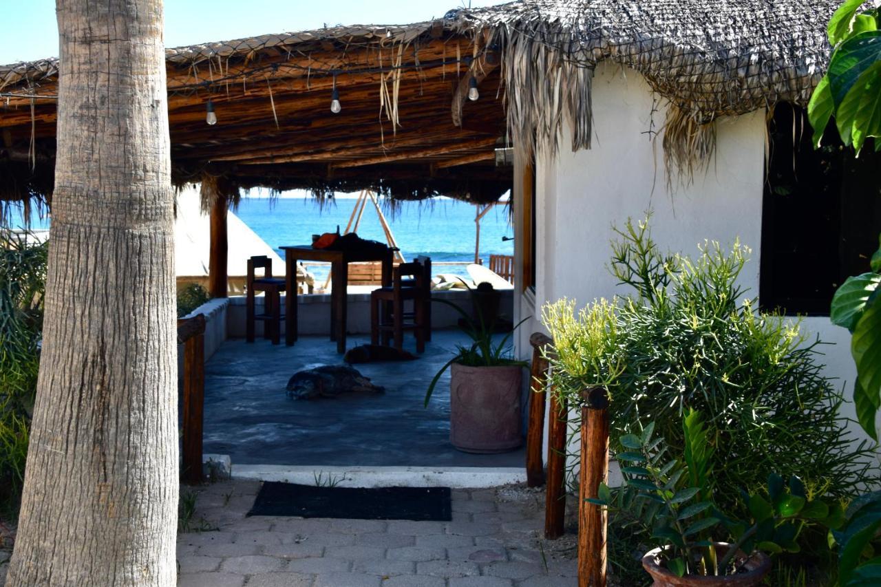 San José del Cabo Rustico Lounge - Property In Front Of The Beach المظهر الخارجي الصورة